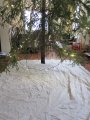 000-IMG_2738.JPG.small.jpeg