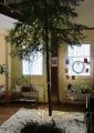 002-IMG_2746.JPG.small.jpeg