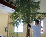 003-IMG_2748.JPG.small.jpeg