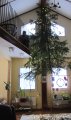 004-IMG_2752.JPG.small.jpeg