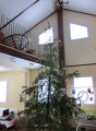 006-IMG_2757.JPG.small.jpeg