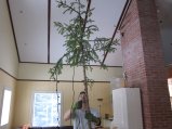 009-IMG_2762.JPG.small.jpeg