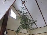 010-IMG_2763.JPG.small.jpeg