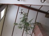 011-IMG_2765.JPG.small.jpeg