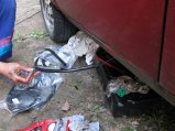 012-IMG_2270.JPG.small.jpeg